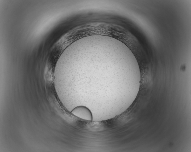 X0000116390431200912161528