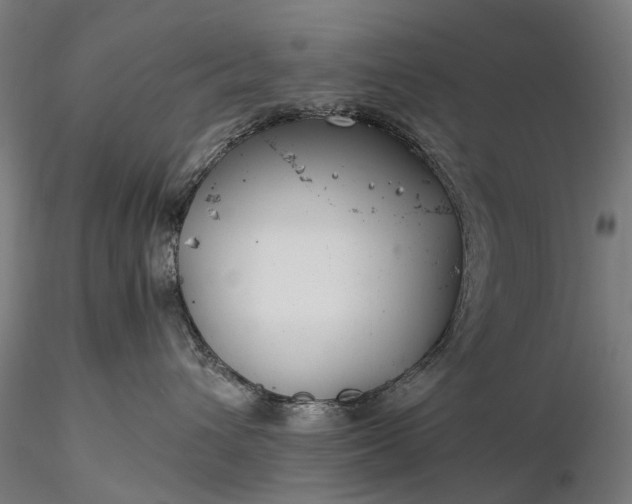 X0000116390432200912161528
