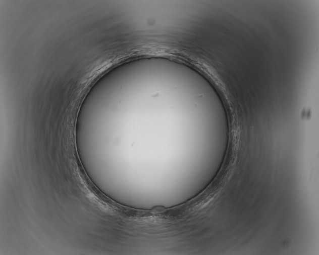 X0000116390433200912161528