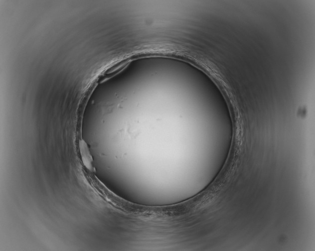 X0000116390434200912161528