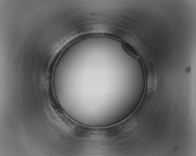X0000116390436200912161528