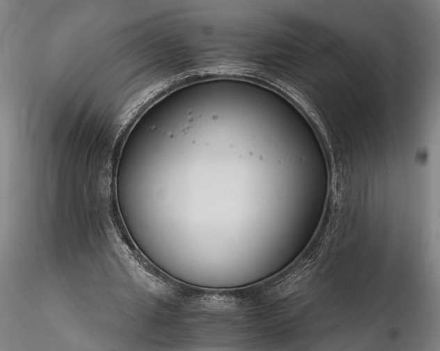 X0000116390437200912161528