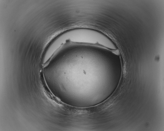 X0000116390438200912161528