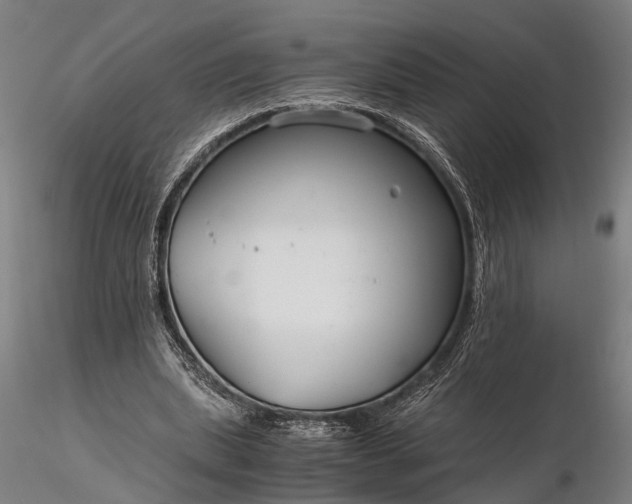 X0000116390439200912161528