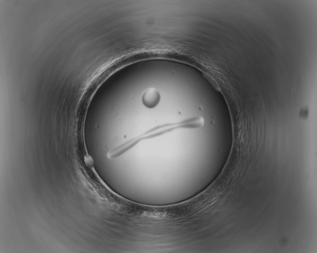 X0000116390440200912161528