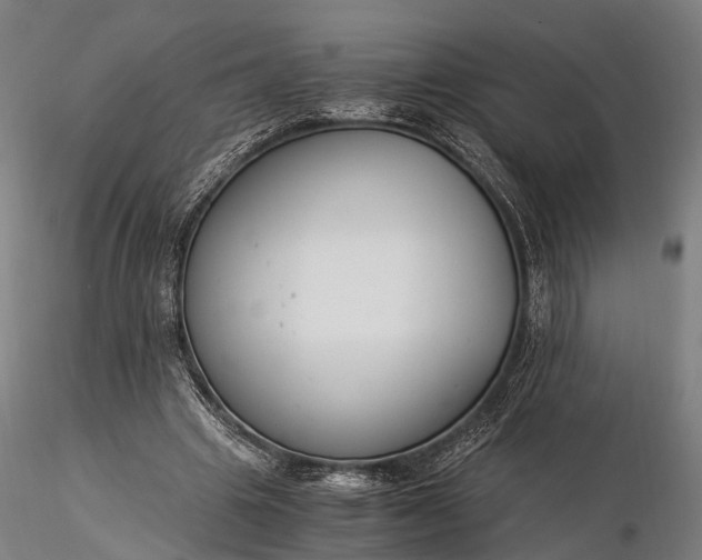 X0000116390441200912161528