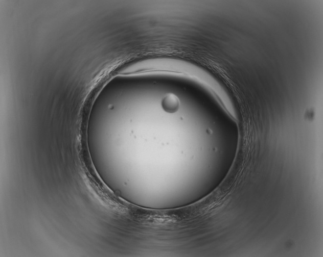 X0000116390443200912161528