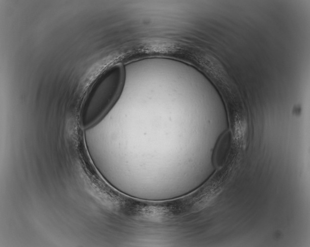X0000116390444200912161528