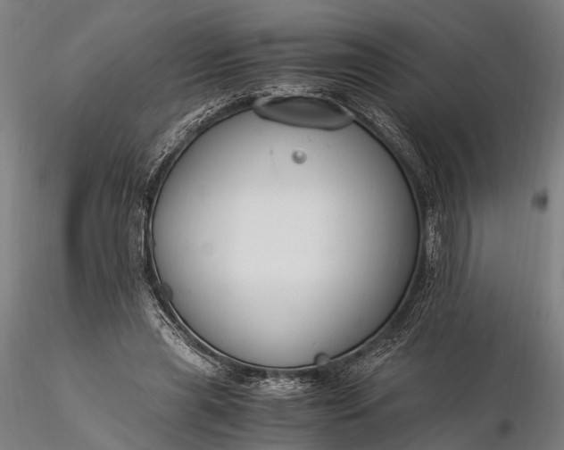 X0000116390445200912161528