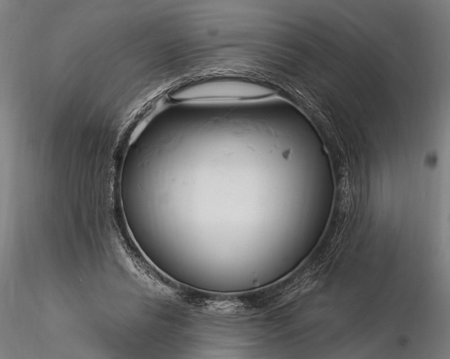 X0000116390446200912161528