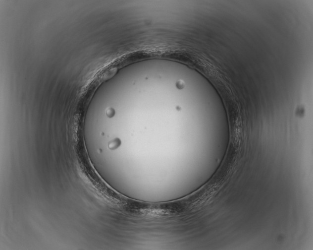 X0000116390448200912161528