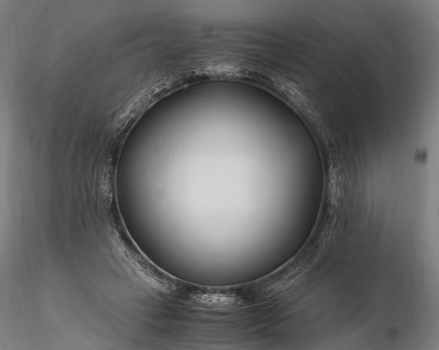 X0000116390449200912161528