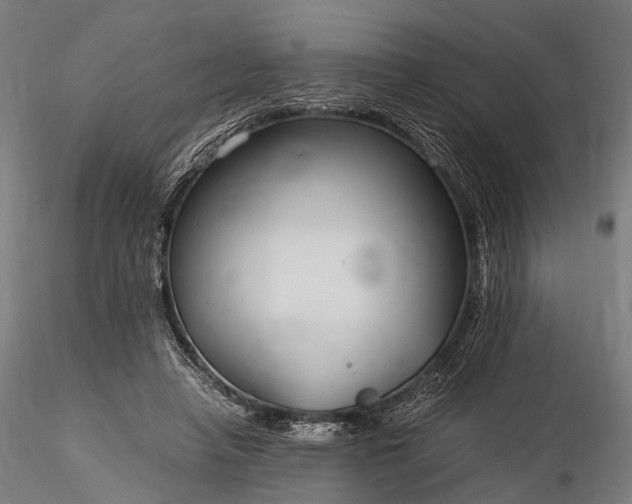 X0000116390450200912161528