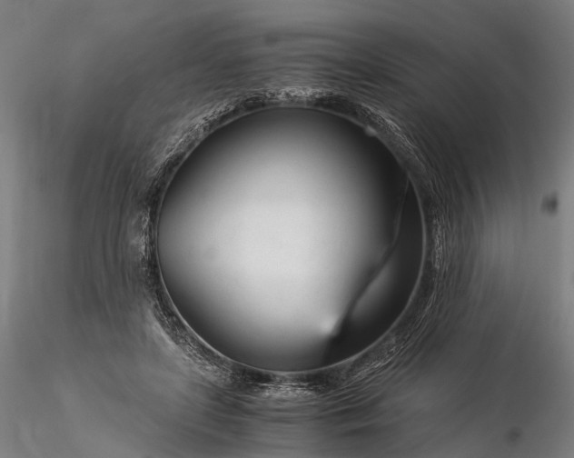 X0000116390451200912161528