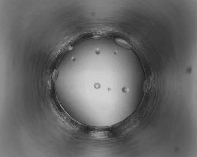 X0000116390452200912161528