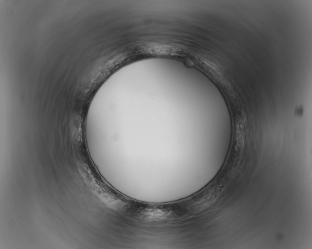 X0000116390453200912161528