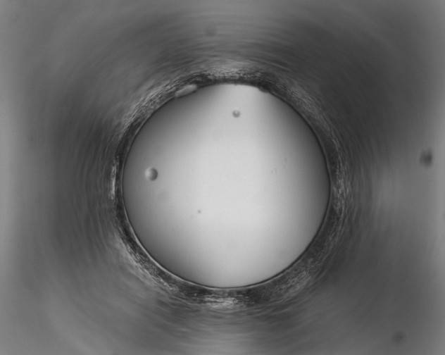 X0000116390454200912161528
