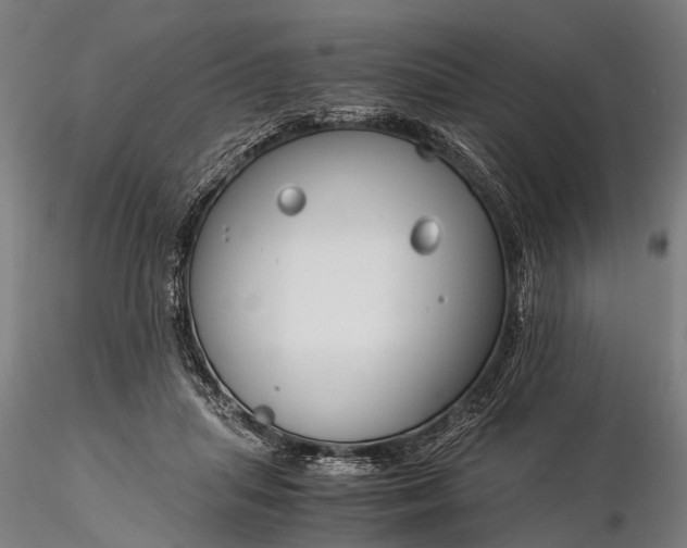 X0000116390455200912161528