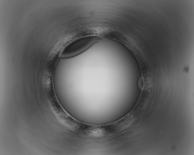 X0000116390456200912161528