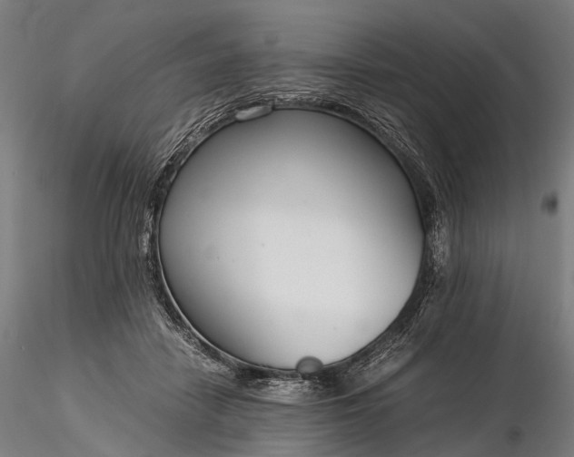 X0000116390458200912161528