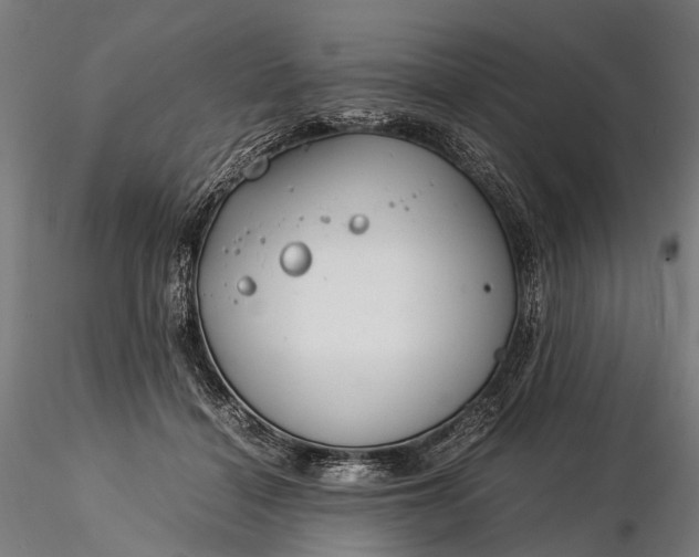 X0000116390460200912161528