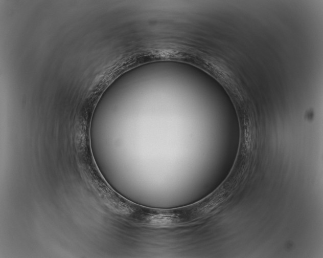 X0000116390461200912161528