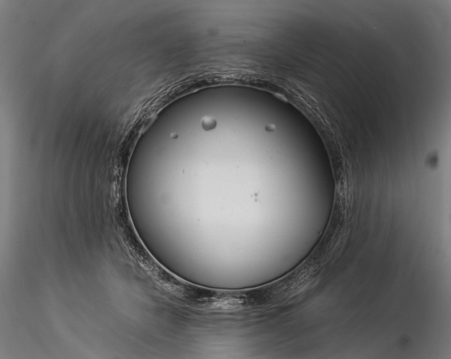X0000116390462200912161528