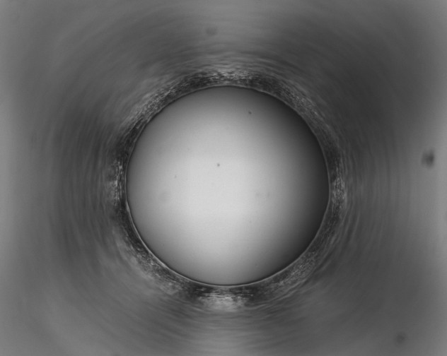 X0000116390464200912161528