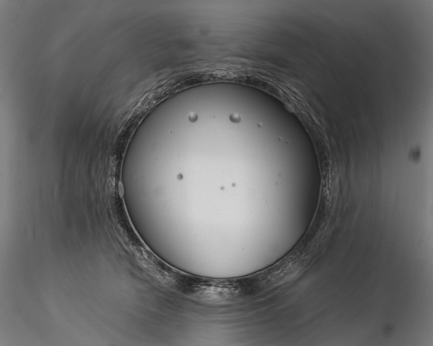 X0000116390466200912161528