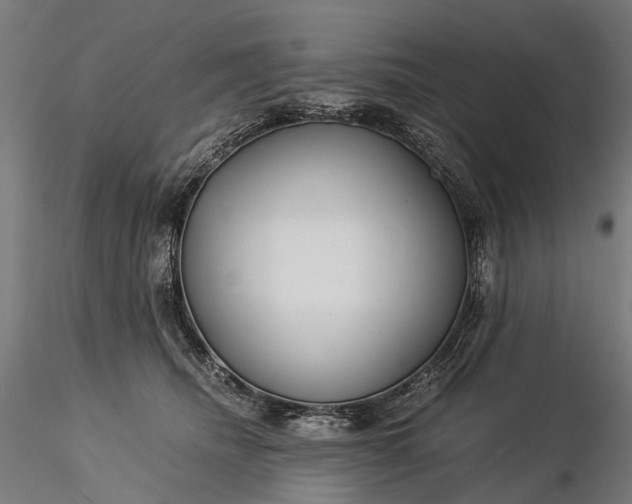 X0000116390468200912161528