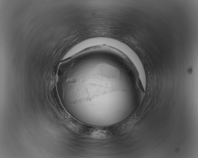 X0000116390471200912161528