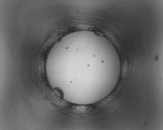 X0000116390473200912161528