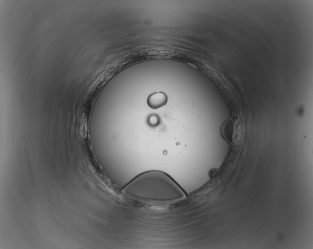 X0000116390474200912161528