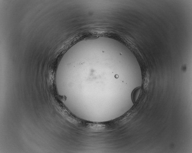 X0000116390476200912161528
