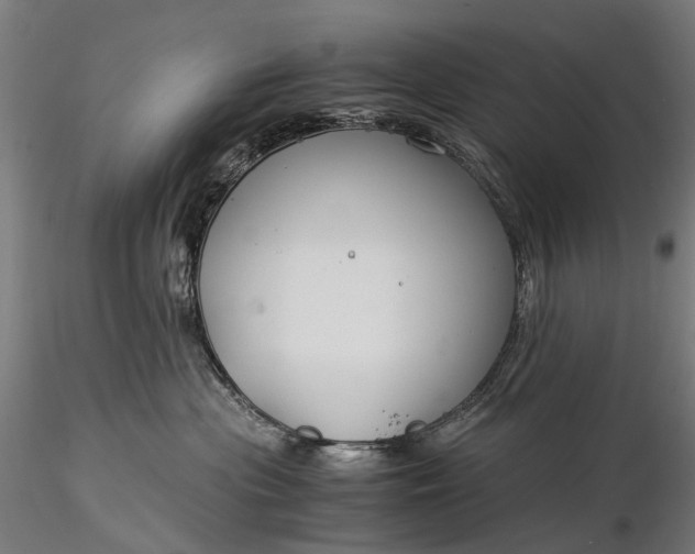 X0000116390477200912161528