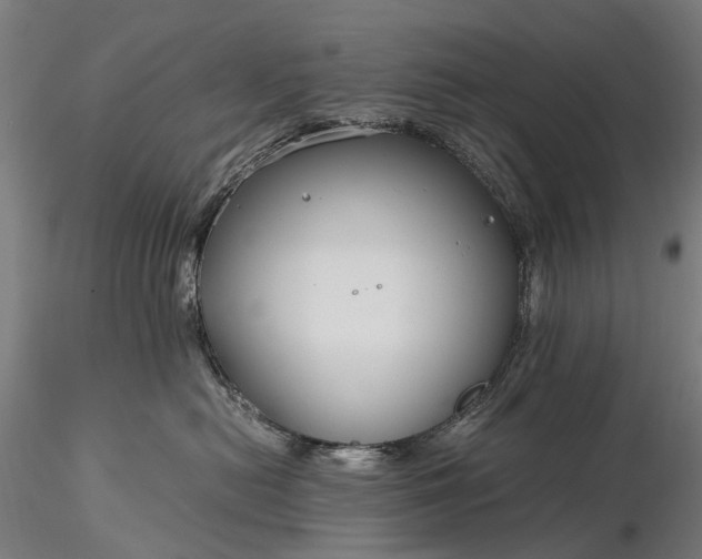 X0000116390478200912161528