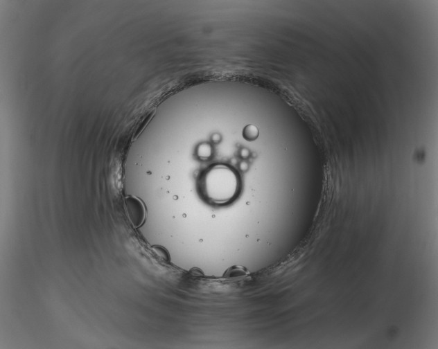X0000116390479200912161528
