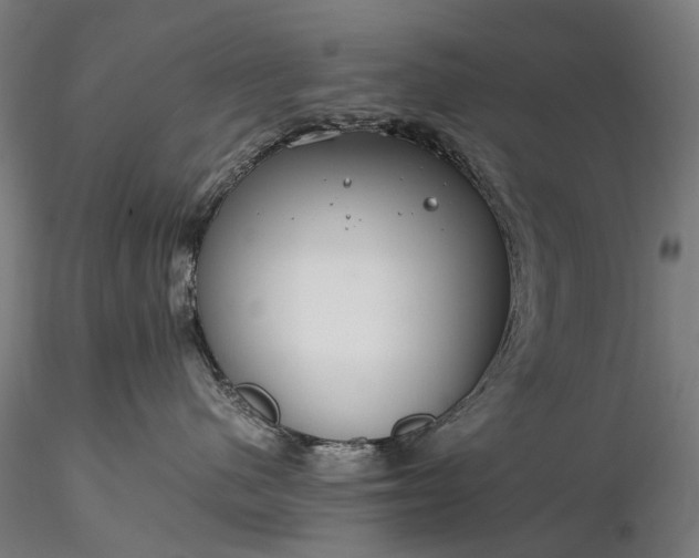 X0000116390480200912161528