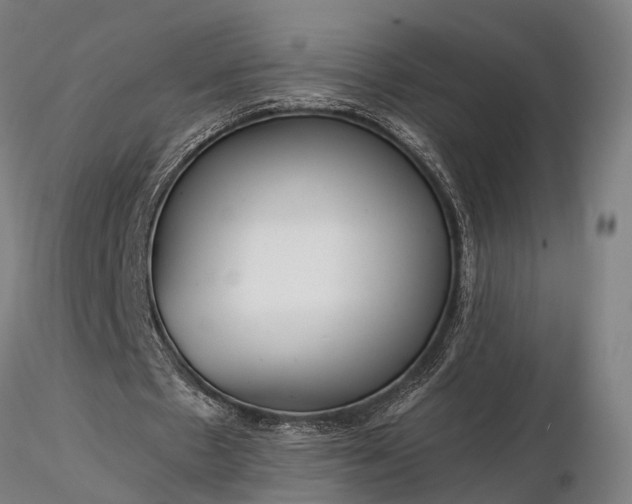 X0000116390481200912161528