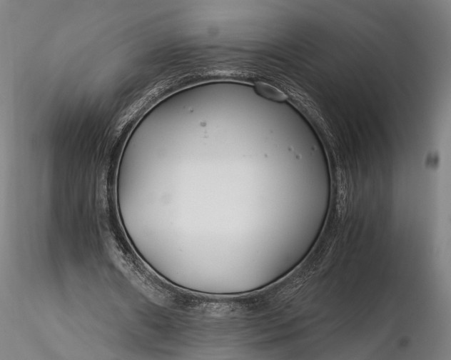 X0000116390482200912161528