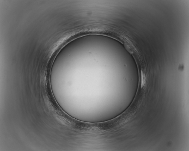 X0000116390483200912161528