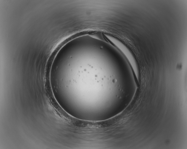 X0000116390484200912161528