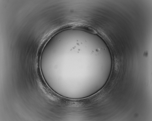 X0000116390486200912161528