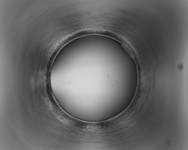 X0000116390487200912161528