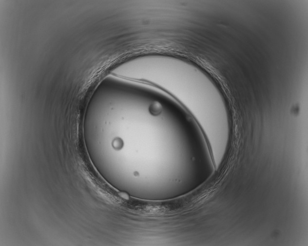 X0000116390493200912161528