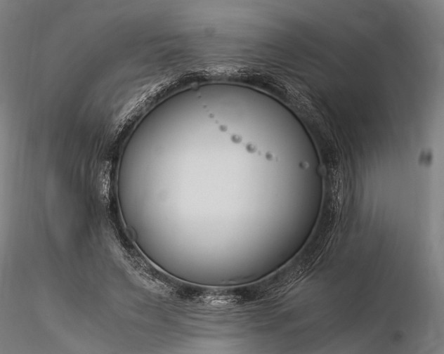 X0000116390495200912161528
