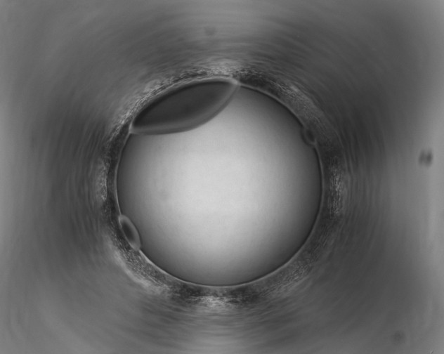 X0000116390496200912161528