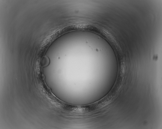 X0000116390497200912161528
