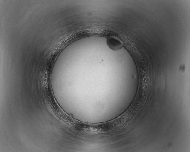 X0000116390498200912161527