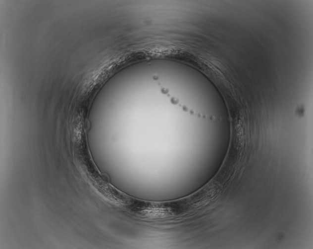 X0000116390499200912161527